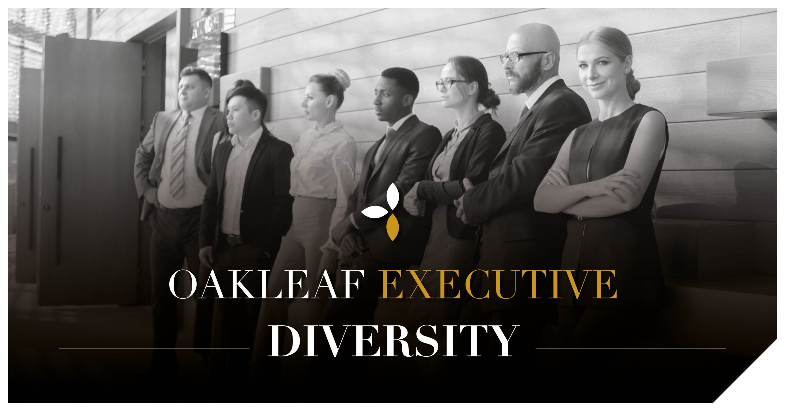 Diversity – Executive recruiters to be more proactive